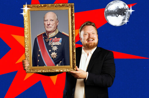 Steikje Løye liggende3 konge